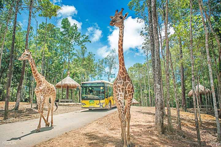 Tour Phú Quốc - Bãi Sao - Nam Đảo - Vinpearl Safari - Rạch Vẹm